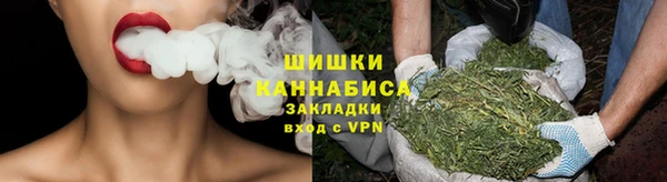 ПСИЛОЦИБИНОВЫЕ ГРИБЫ Новодвинск