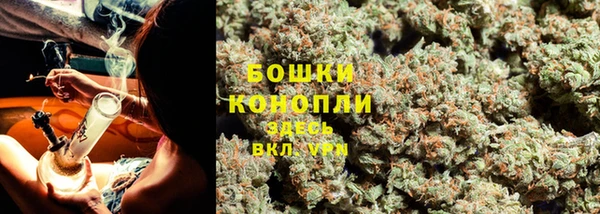 ПСИЛОЦИБИНОВЫЕ ГРИБЫ Новодвинск
