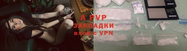 ALPHA PVP Гусев