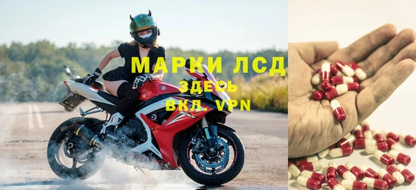 ПСИЛОЦИБИНОВЫЕ ГРИБЫ Новодвинск