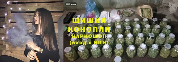 ПСИЛОЦИБИНОВЫЕ ГРИБЫ Новодвинск