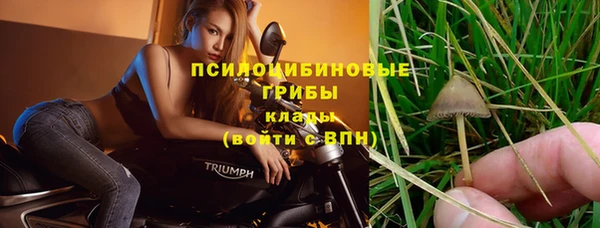 стафф Тавда
